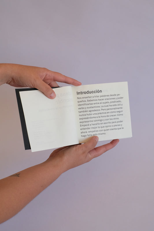 Ideas para escribir Vol 2