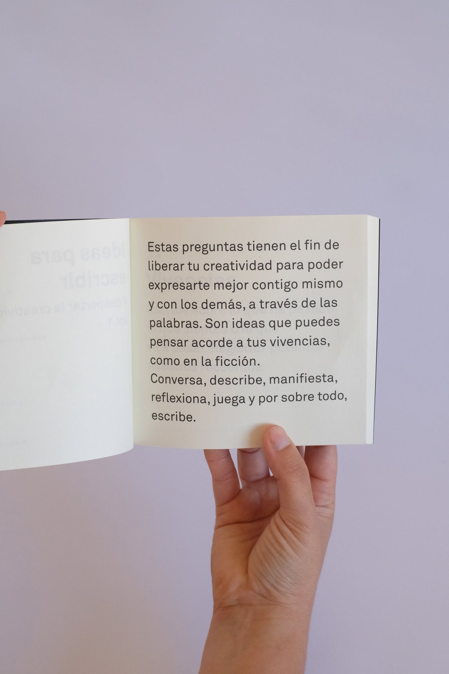 Ideas para escribir Vol 1