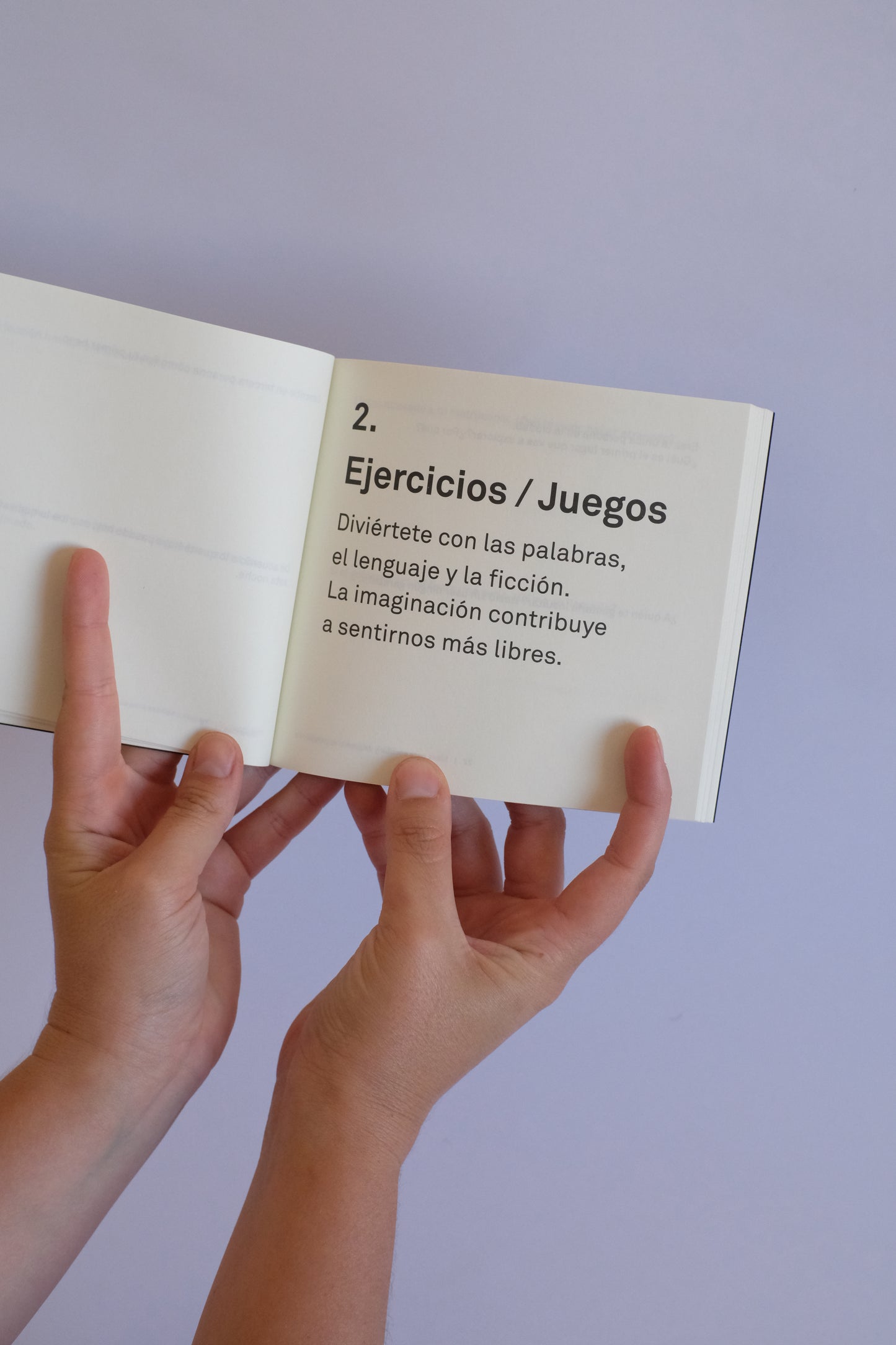 Ideas para escribir Vol 1