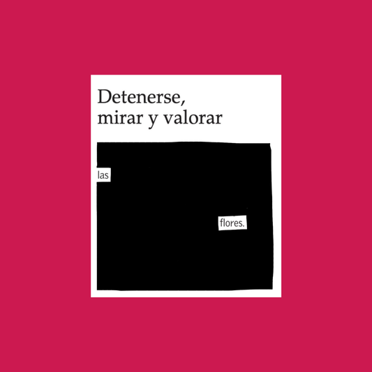 Lámina "Detenerse, mirar y valorar" 20x20